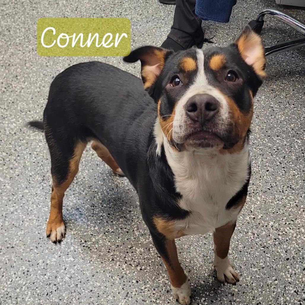 Conner