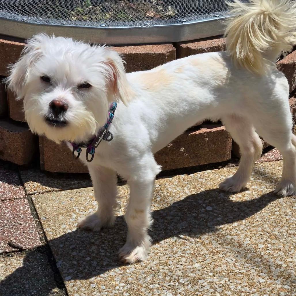 Milo