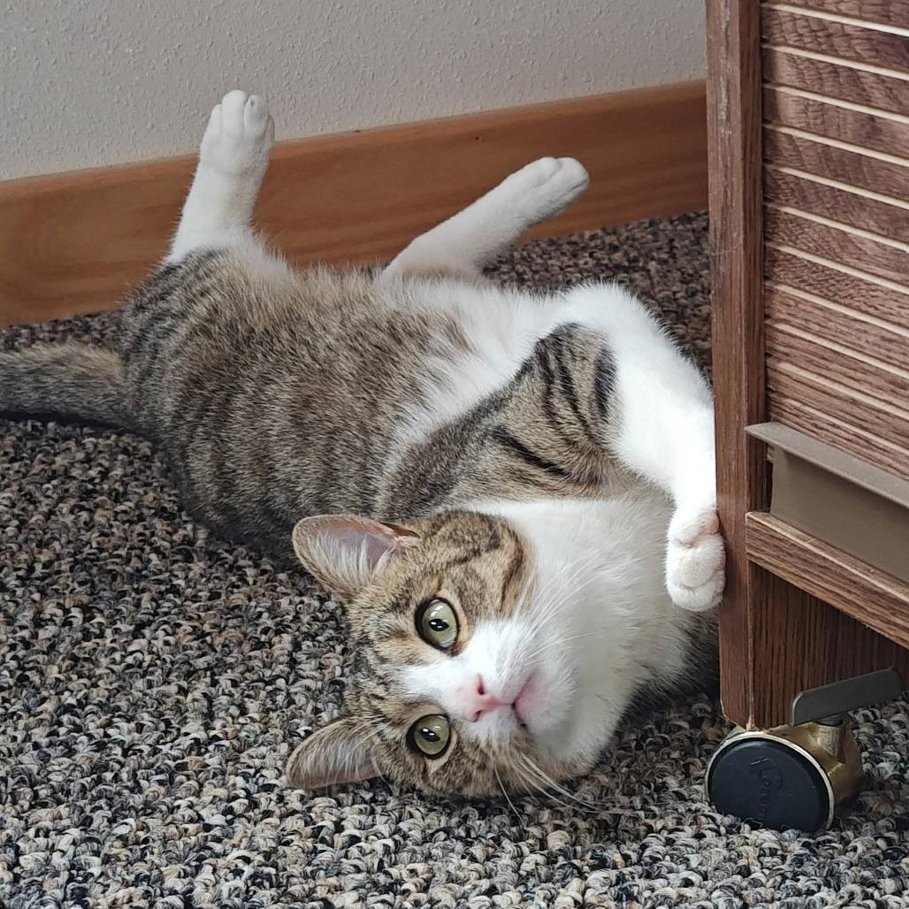 Frankie