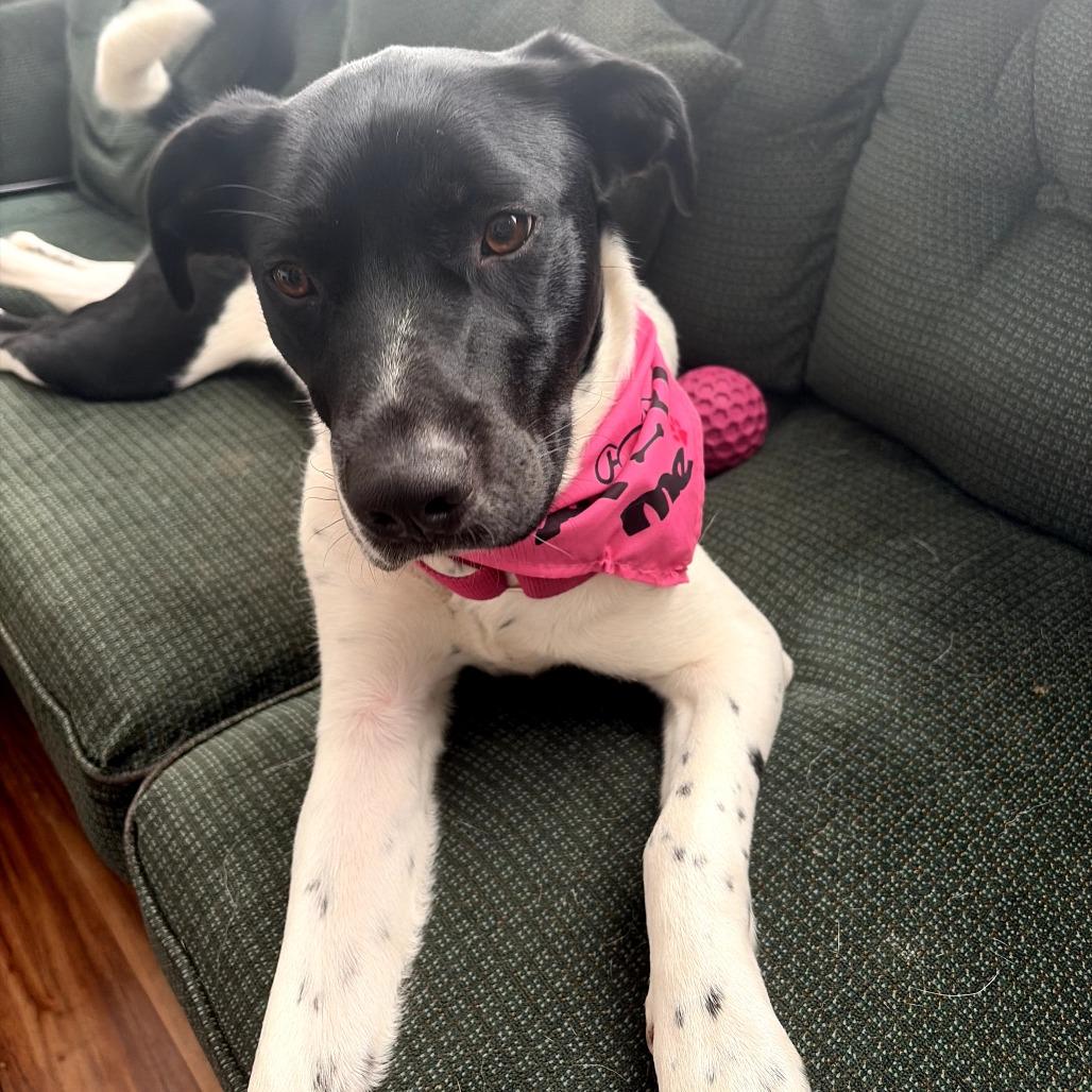 Delilah 