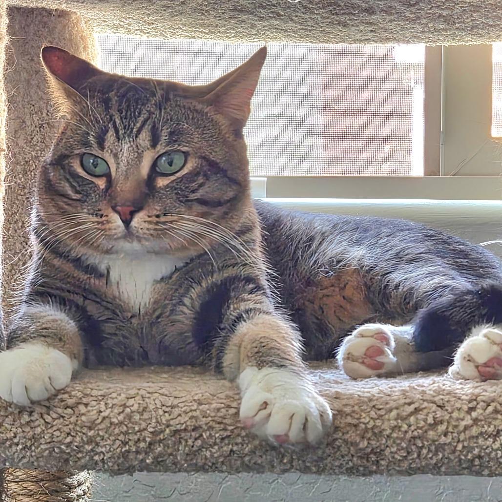 Emmie