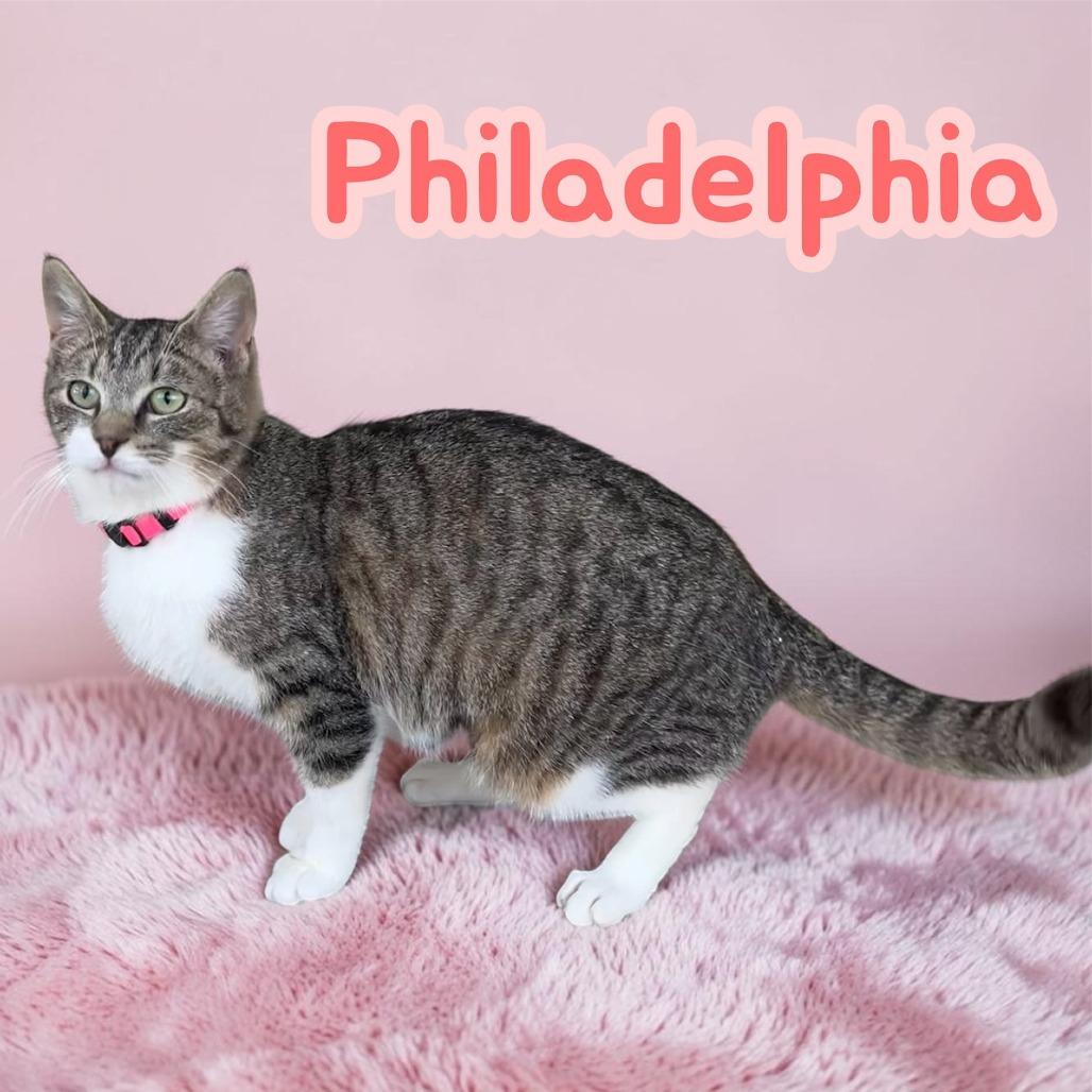 Philadelphia