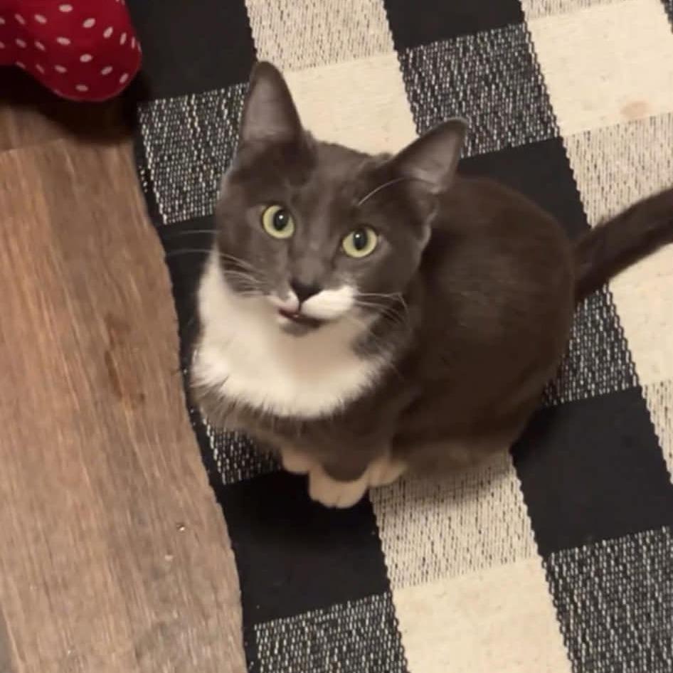 Sophie