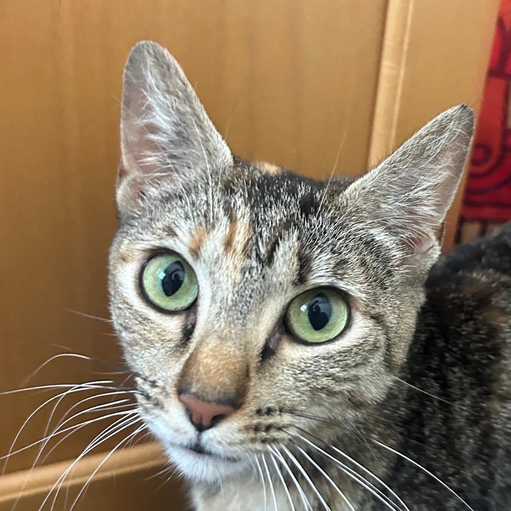 Fiona