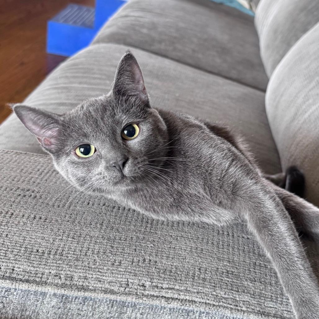 Nadia