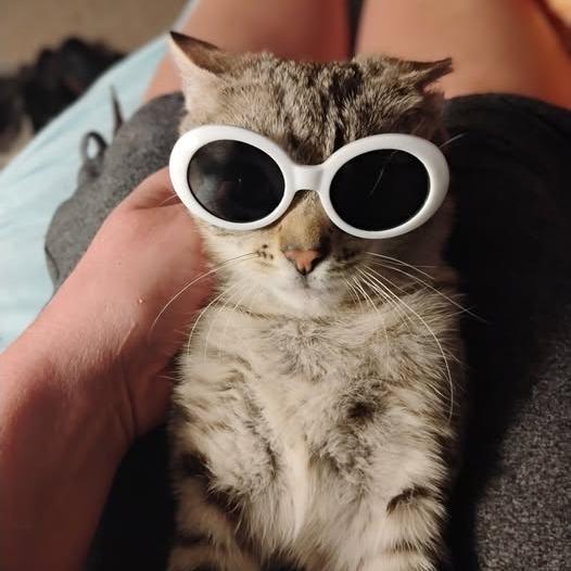 One-Eye Willow