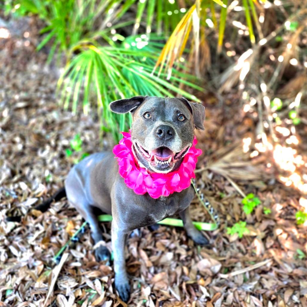 Kali