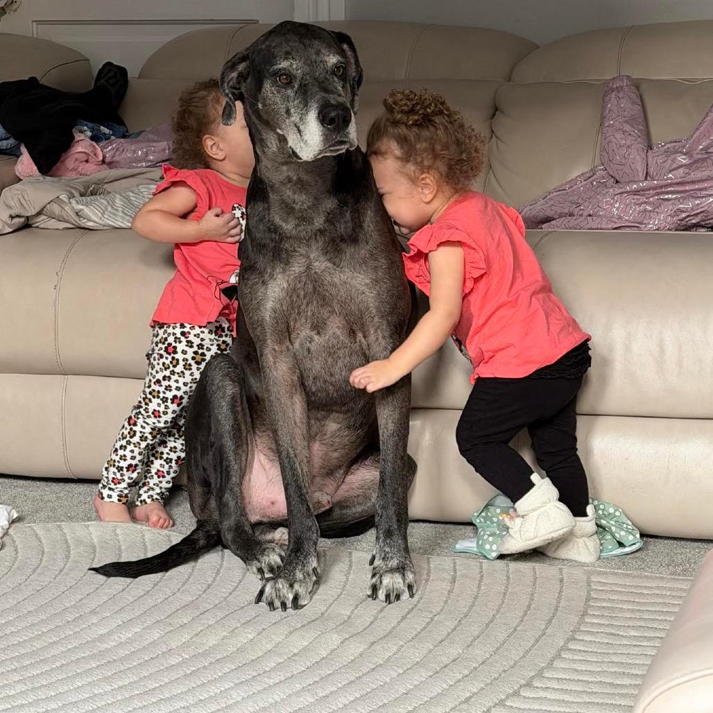 Zeus