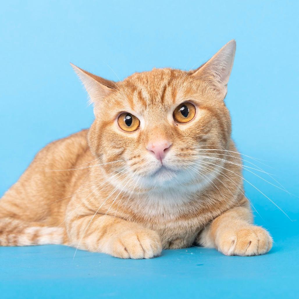 Jerry