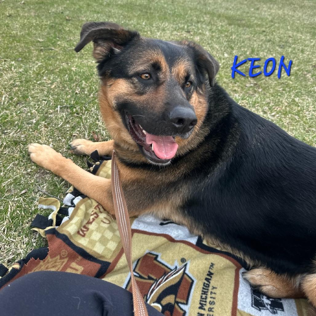 Koen 