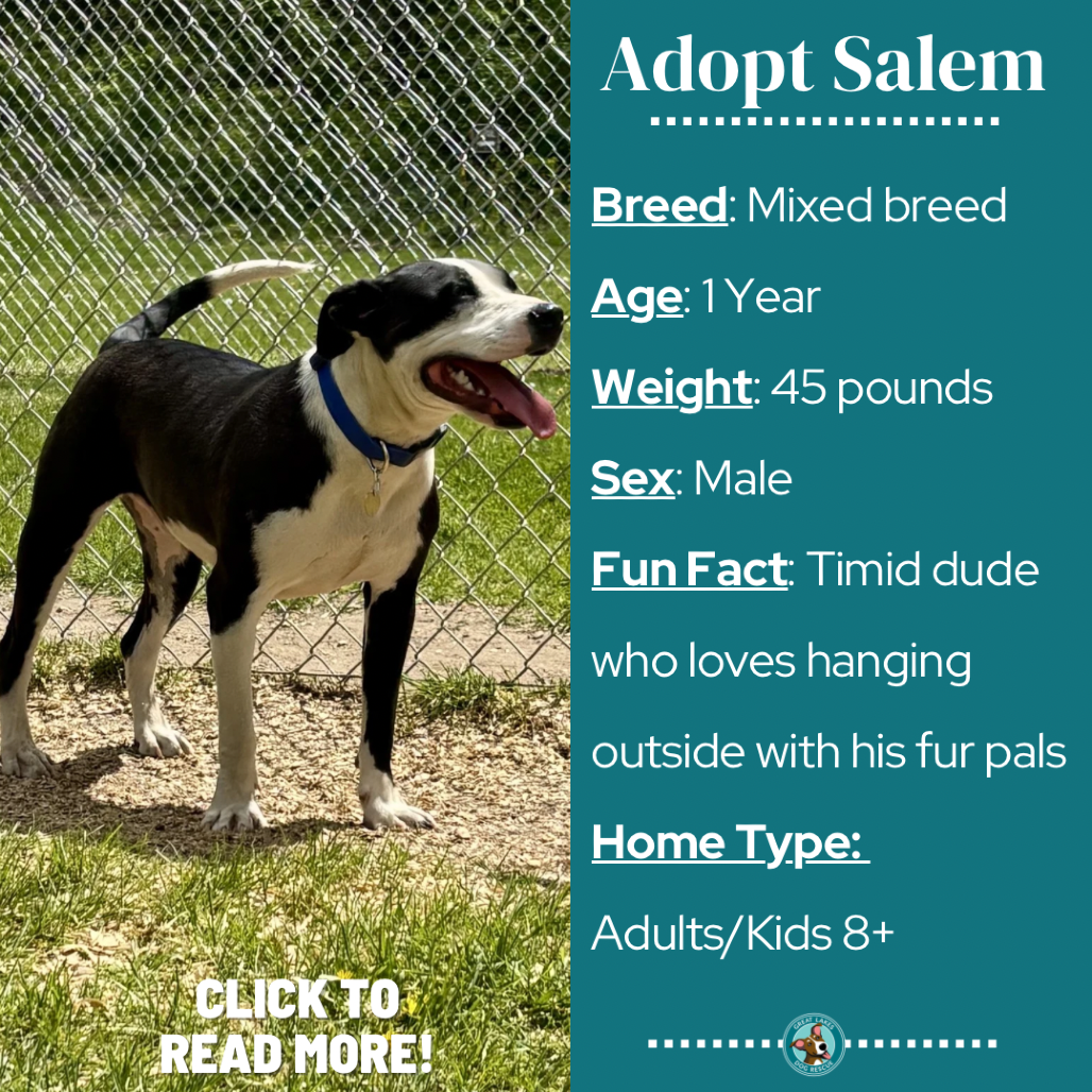 Salem