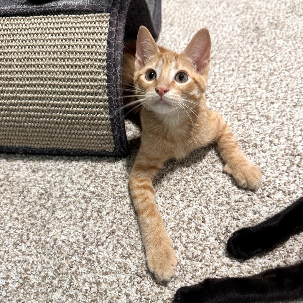 Marco