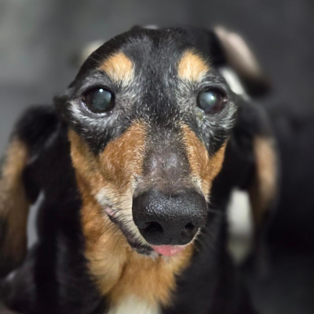 Jax