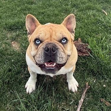 Lucy