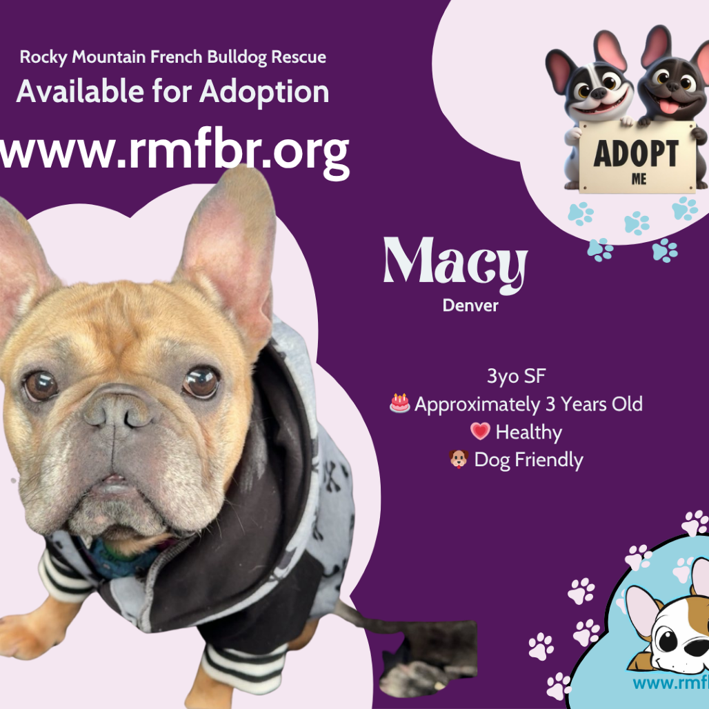 Macy
