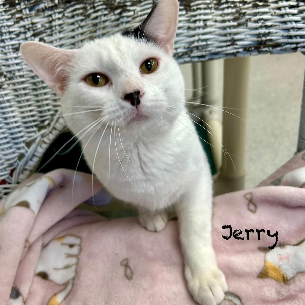 Jerry
