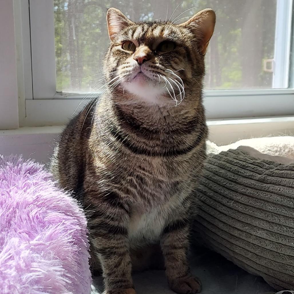 Bella Mama