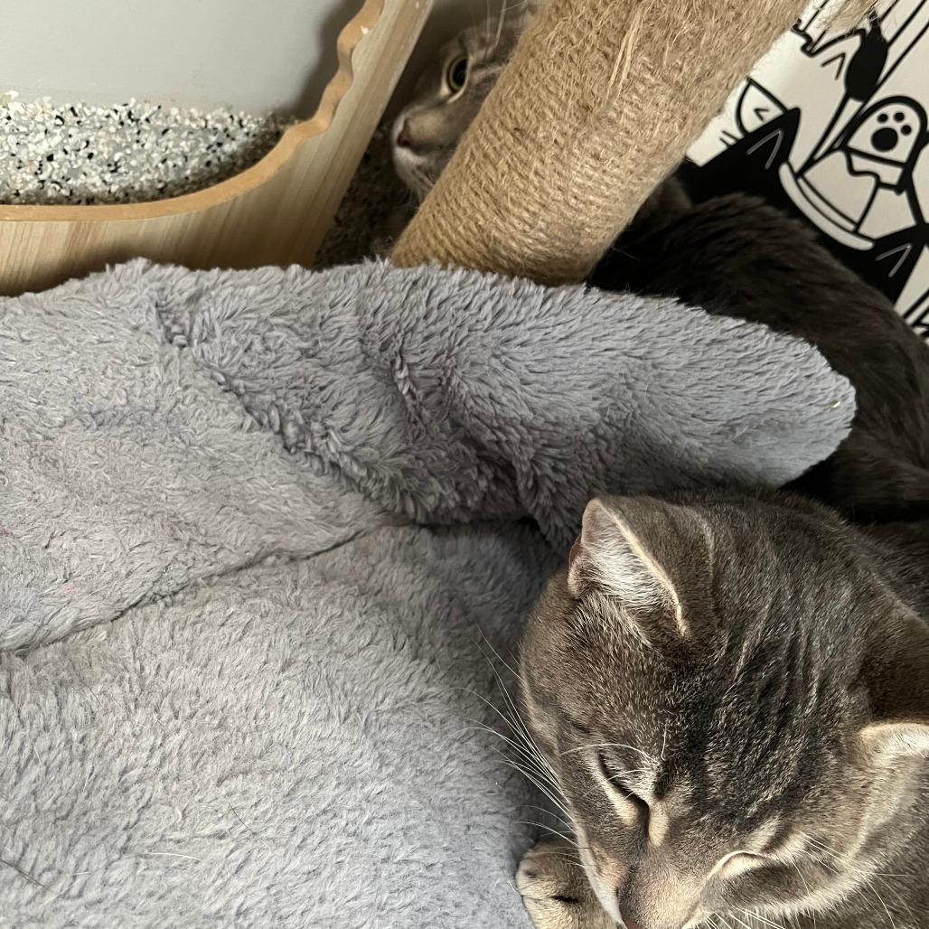 Slim Easy and Biggie Smalls - We're a bonded pair!