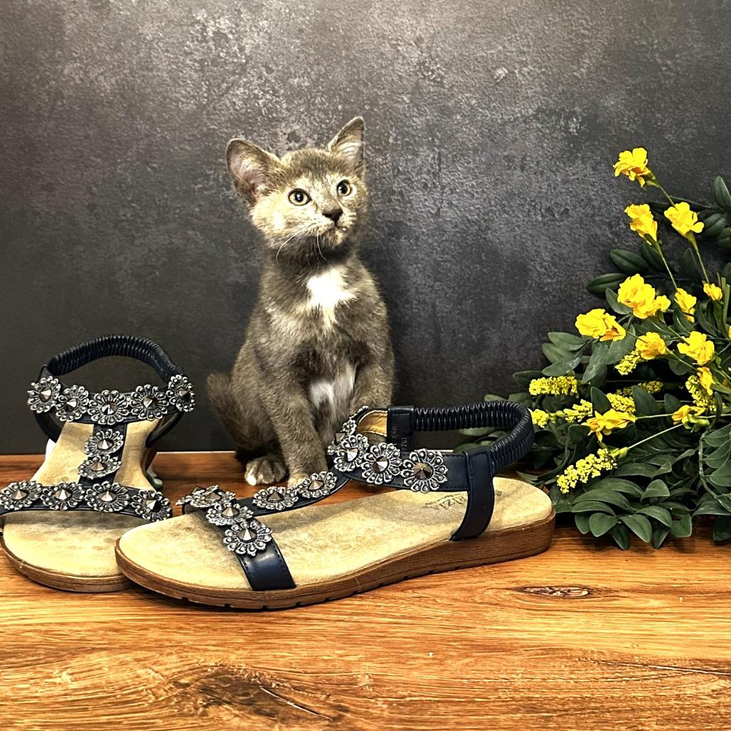 Mary Jane's Sandal