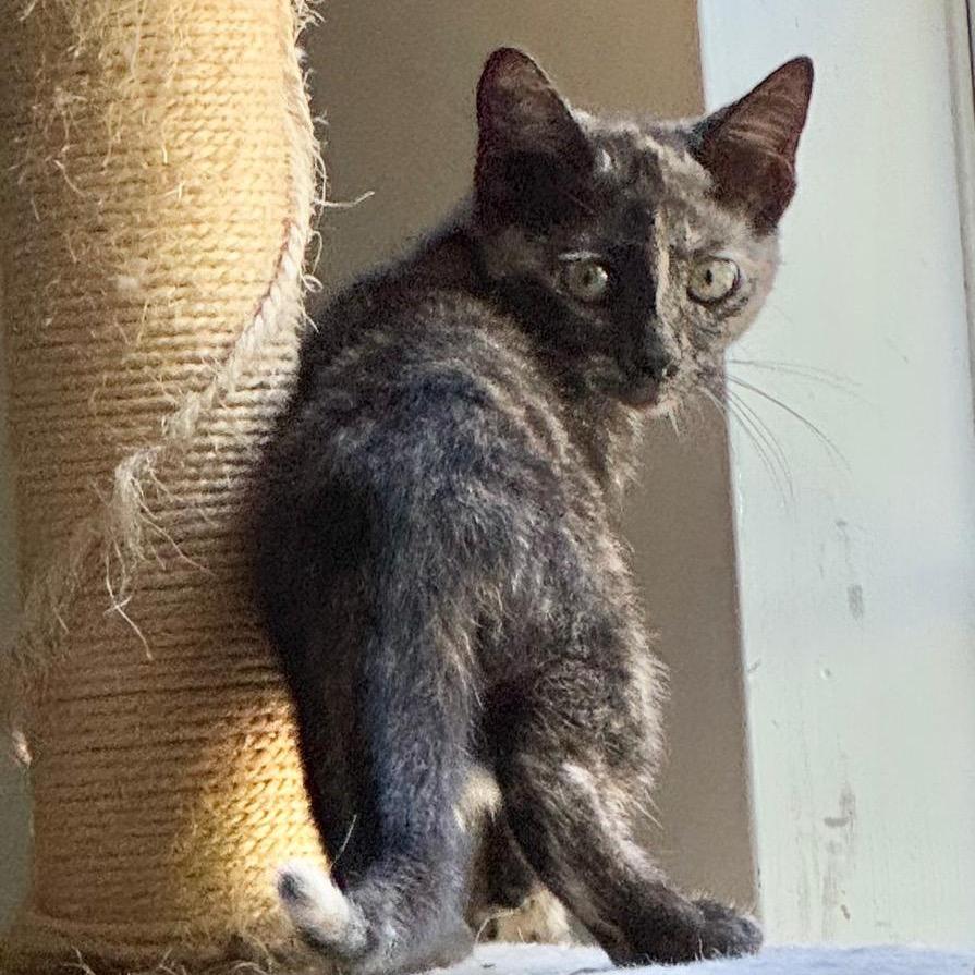 Martha