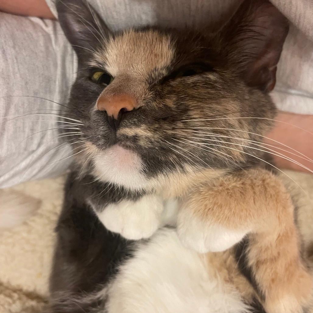 Pipsqueak "Pip" Porter