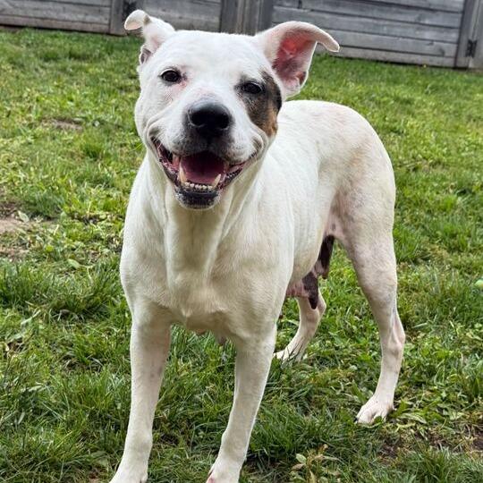 Lena