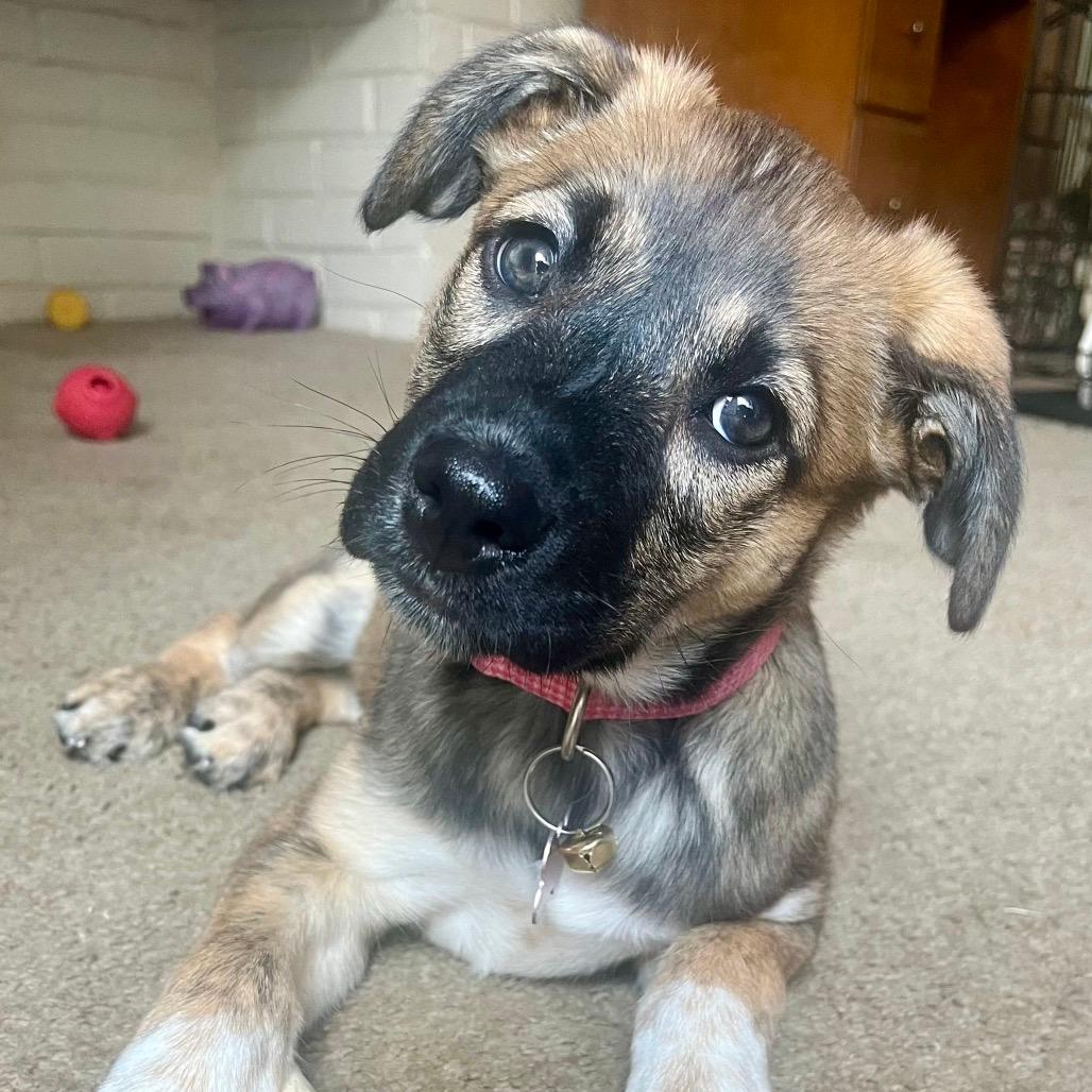 Winnie
