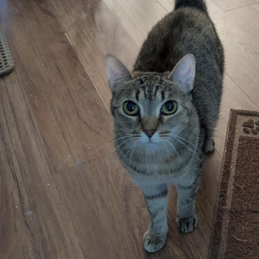 Missy