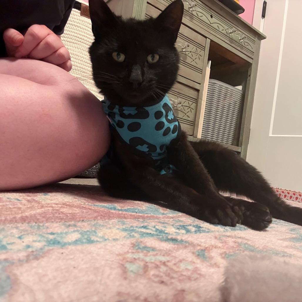 Salem