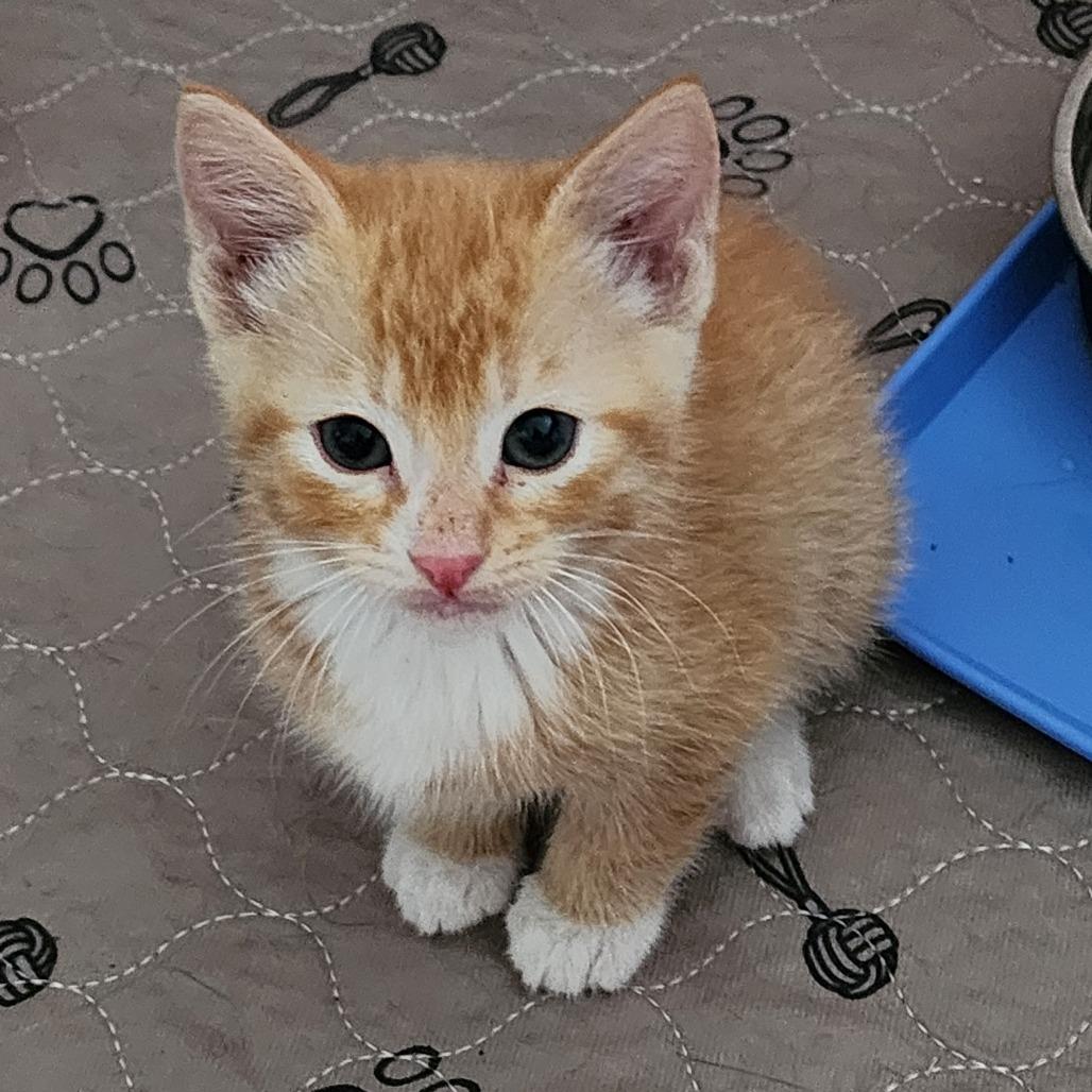 EINSTEIN