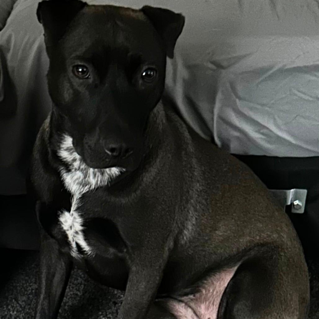 Ellie