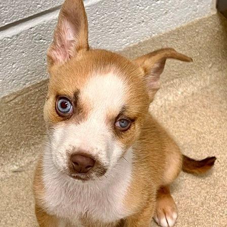 Hilley (In Foster)