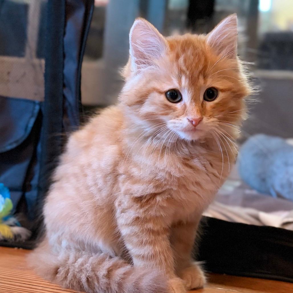 Benny