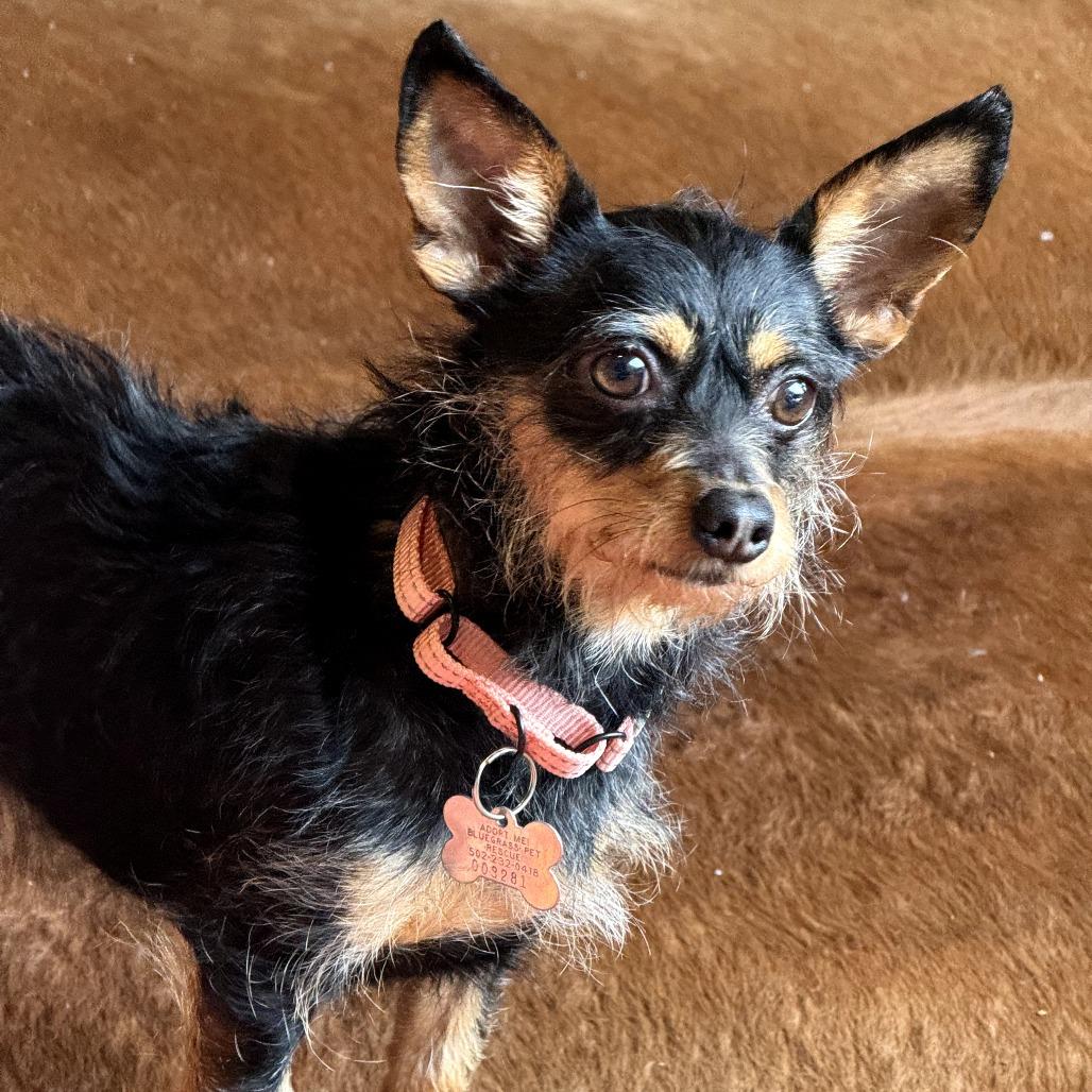 Missy