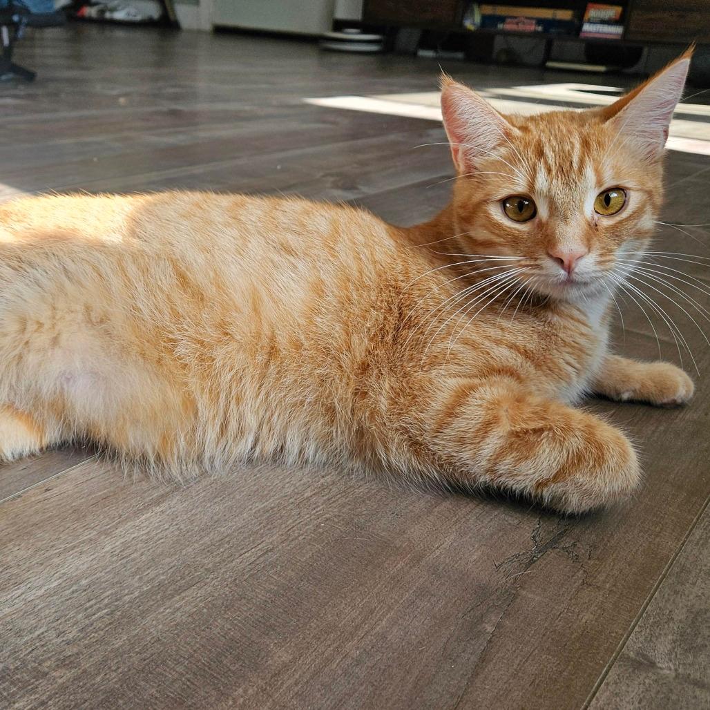 Copper