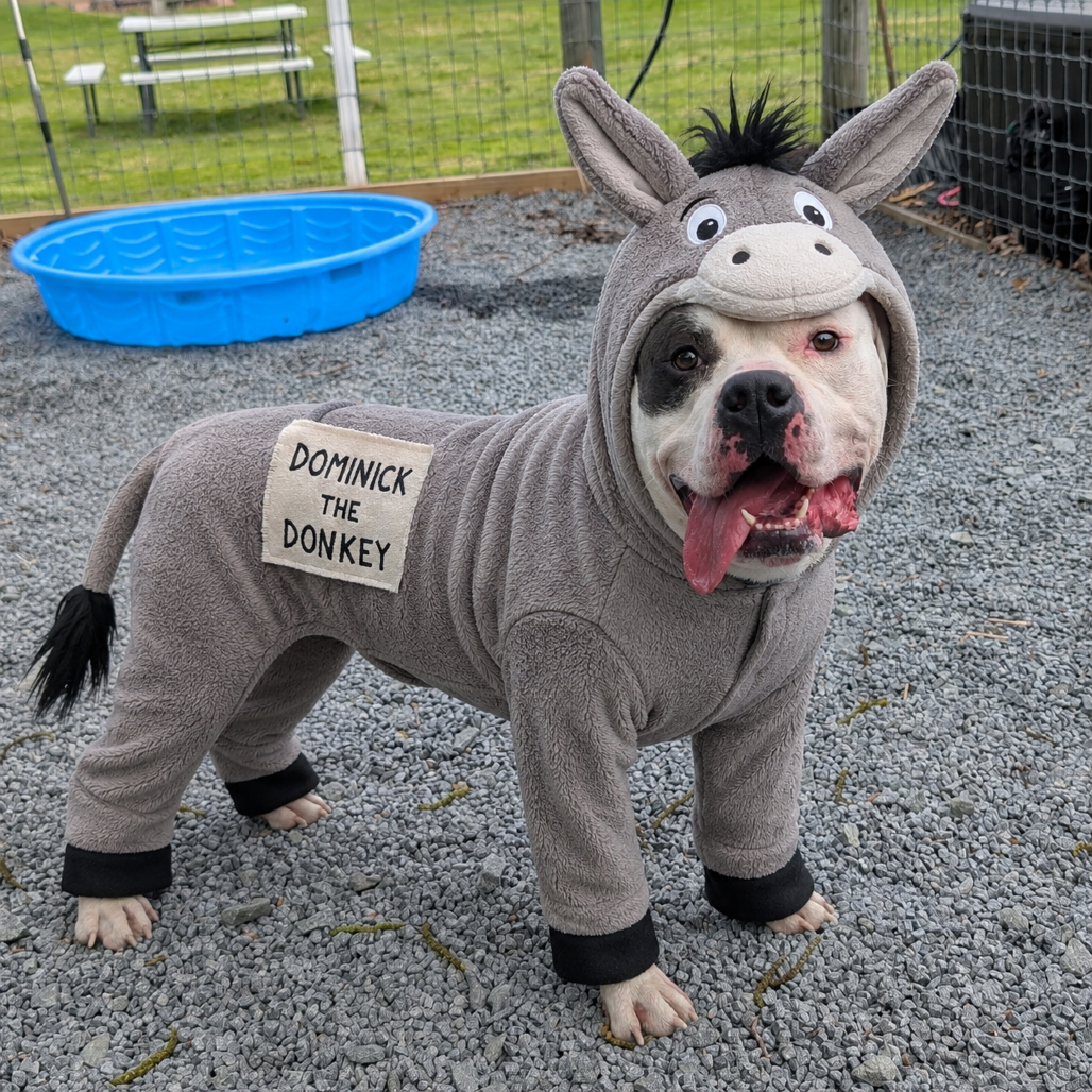 Dominick the Donkey 