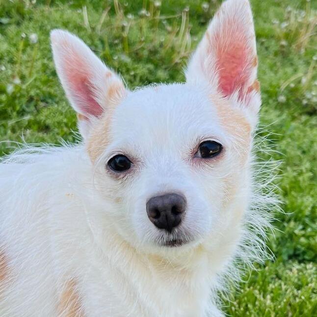 Winnie