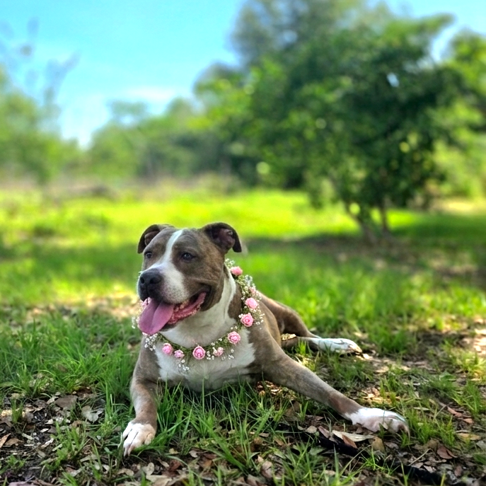 Marley