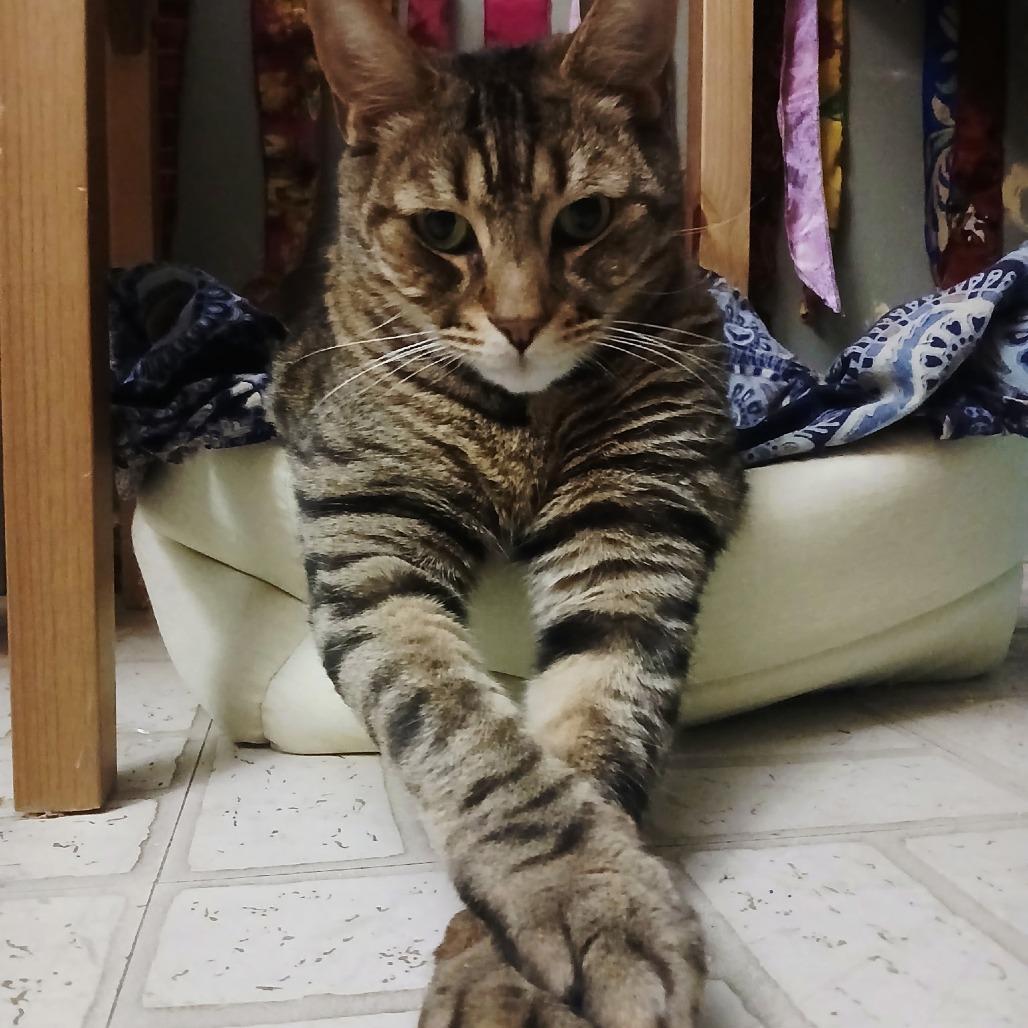 Tigger