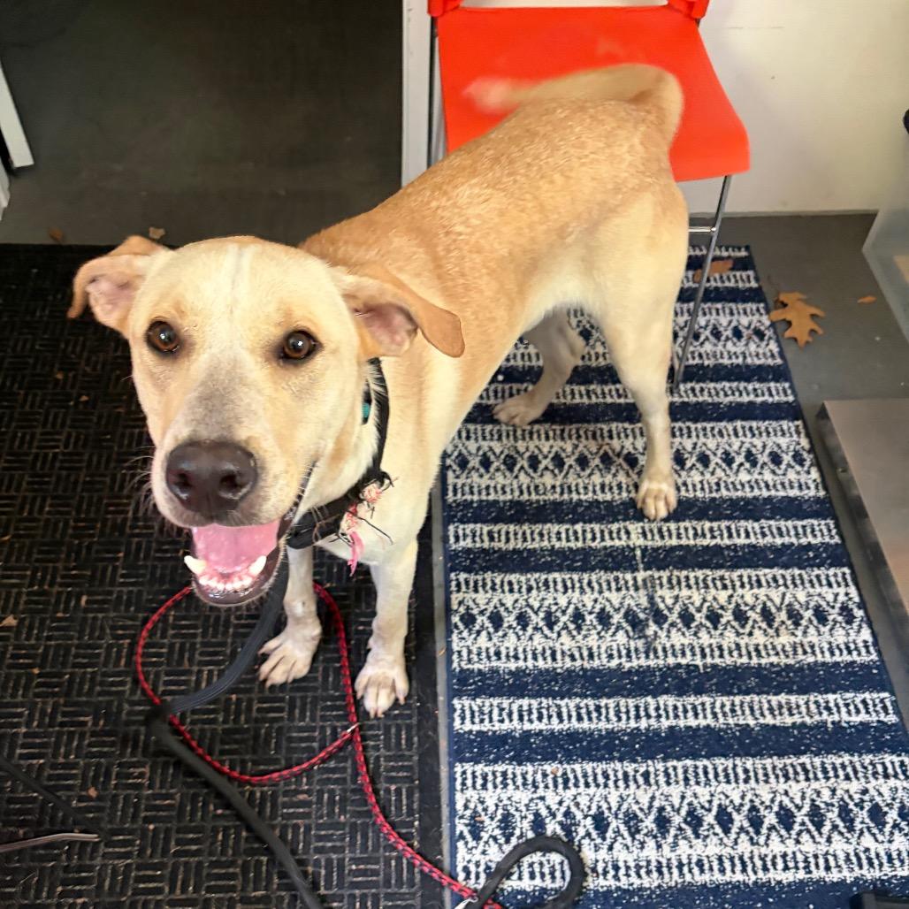 Max