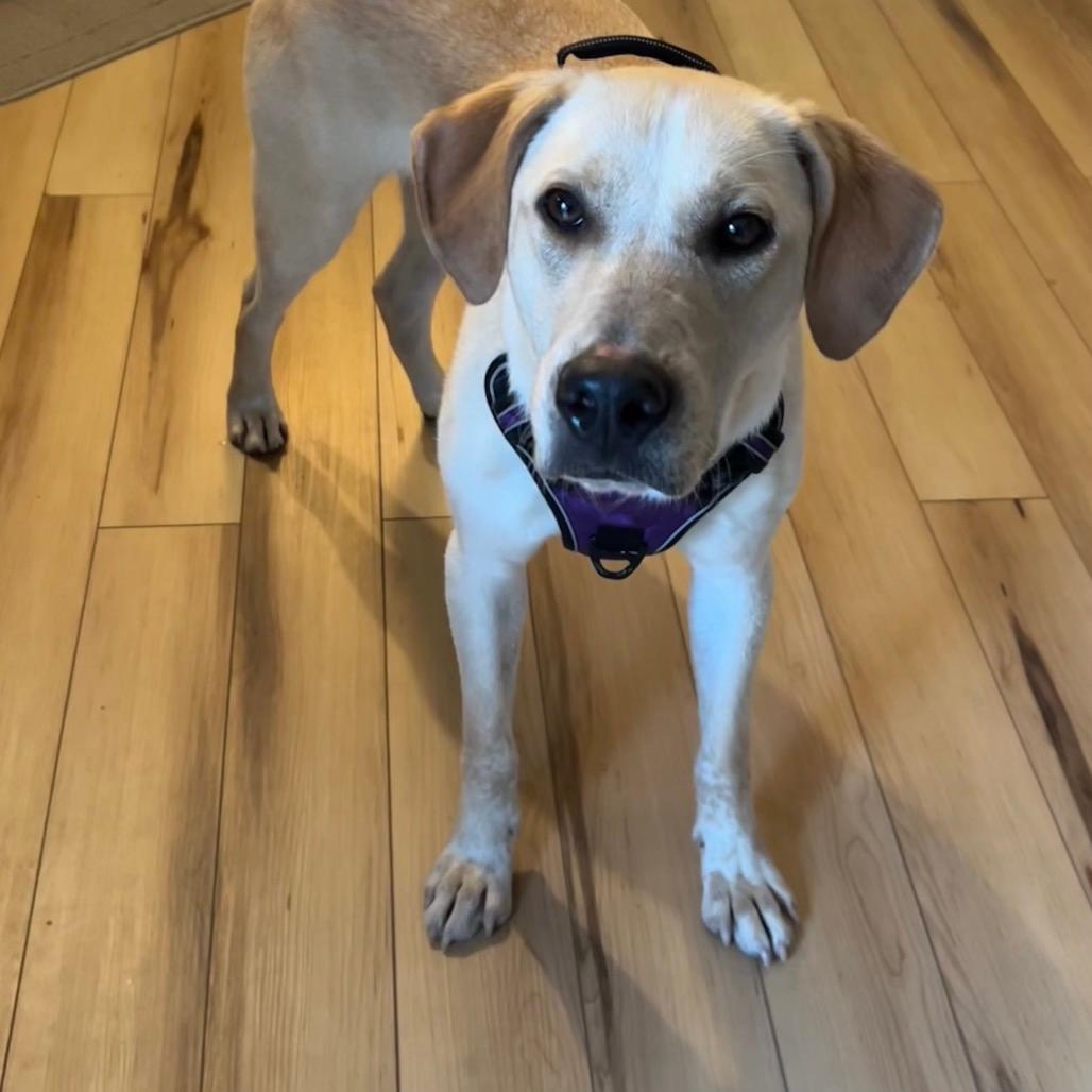 Max