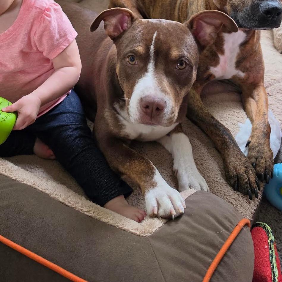 Gus