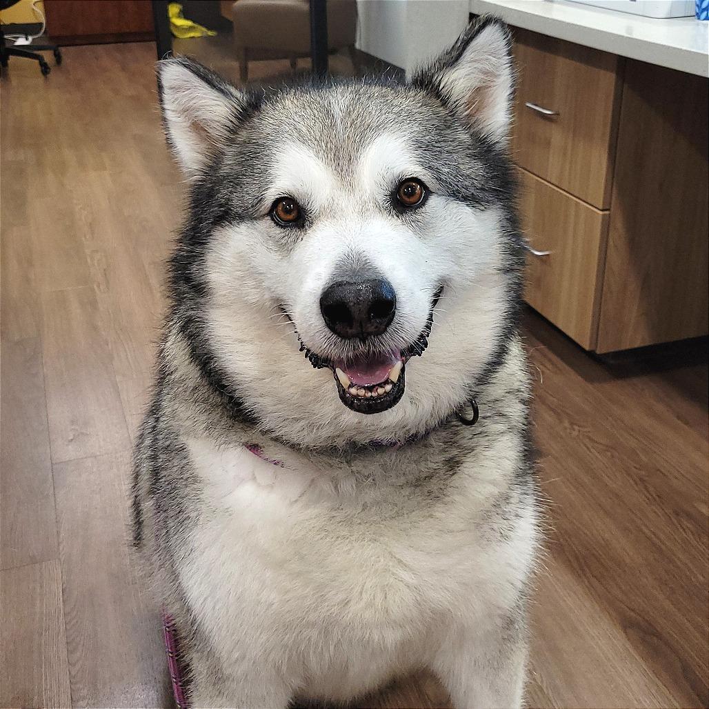 Kenai