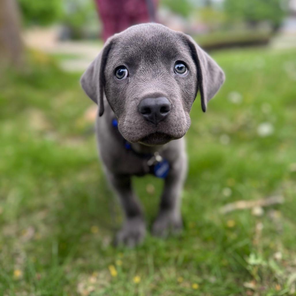 Eugene