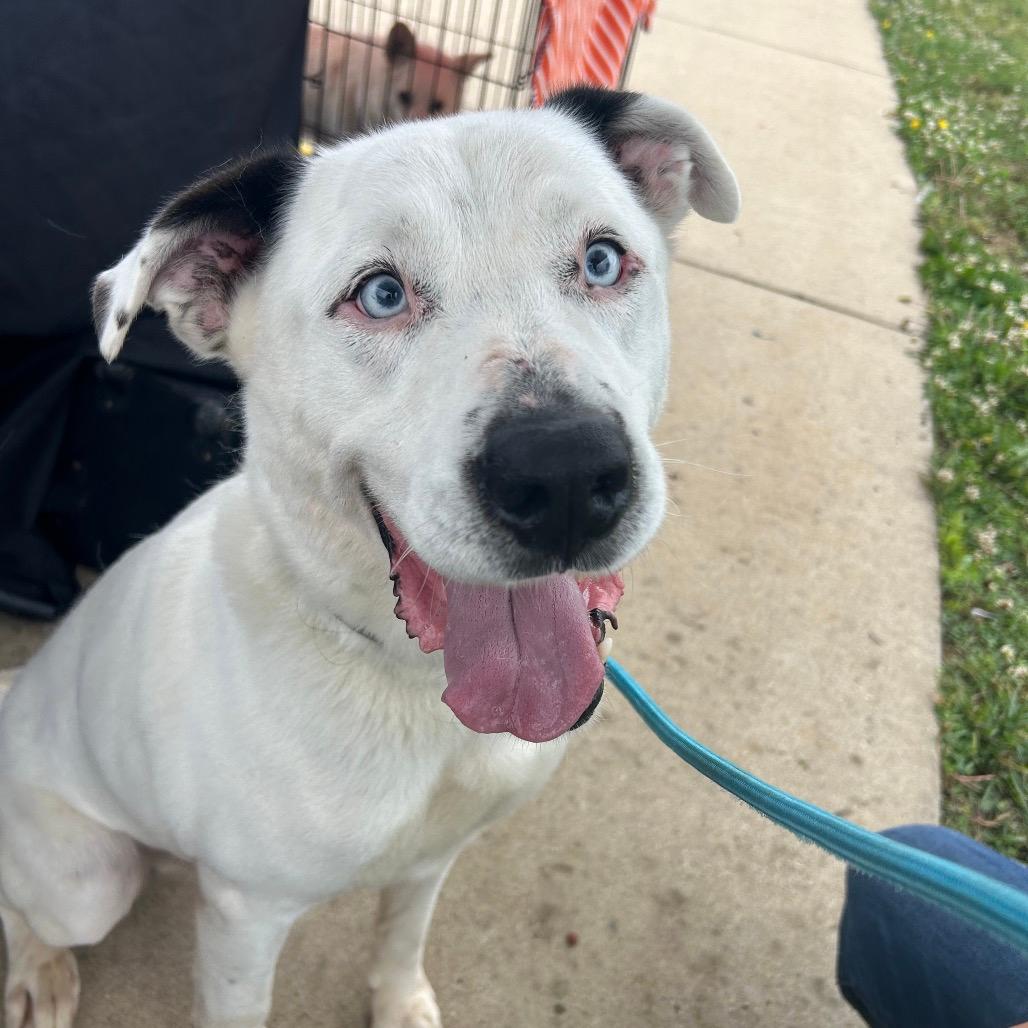 Jax (29)
