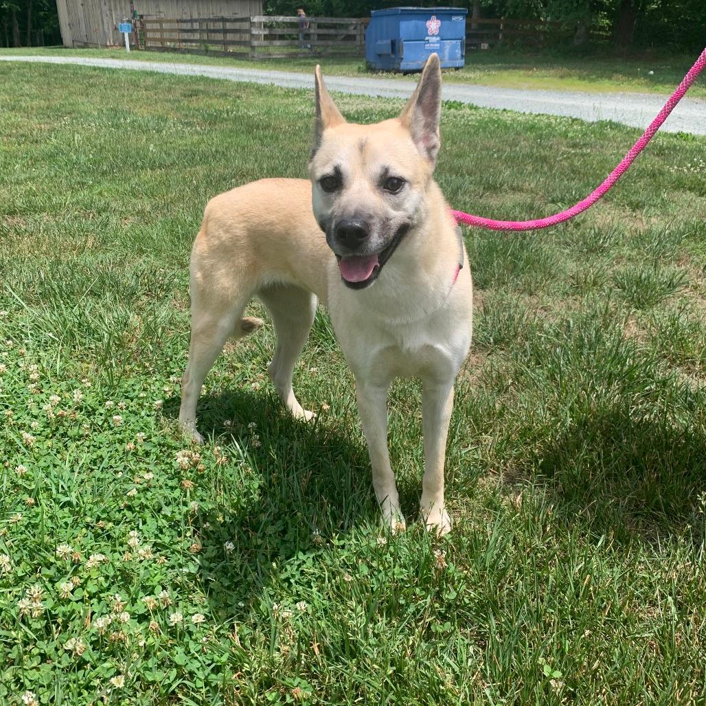 Kory