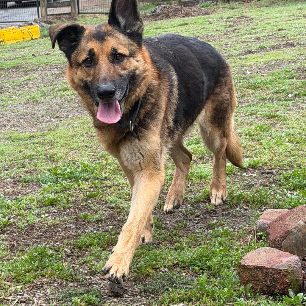 Max