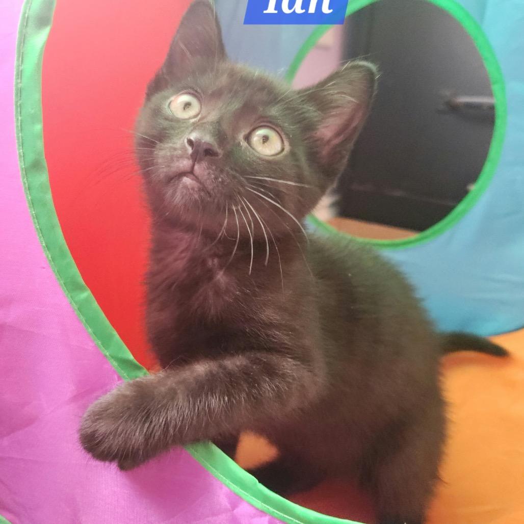Ian 