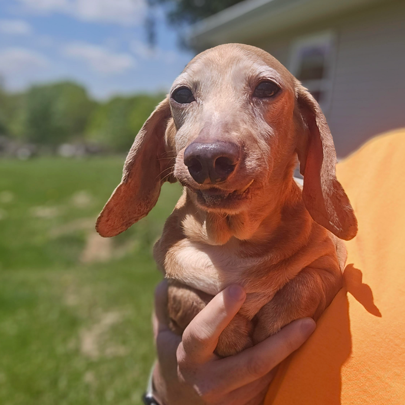 Delilah