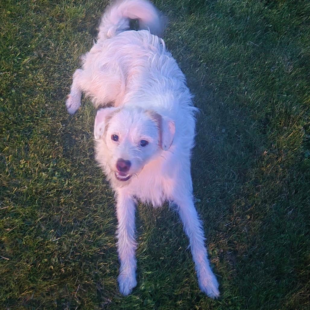 Zeus 
